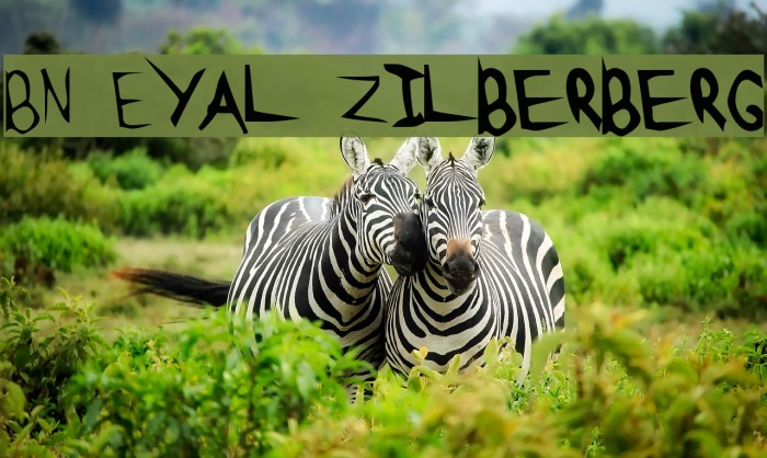 BN Eyal Zilberberg Font examples