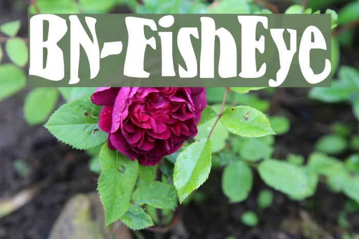 BN-FishEye Font examples