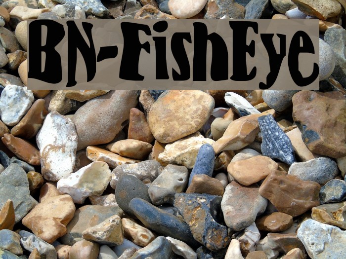 BN-FishEye Font examples