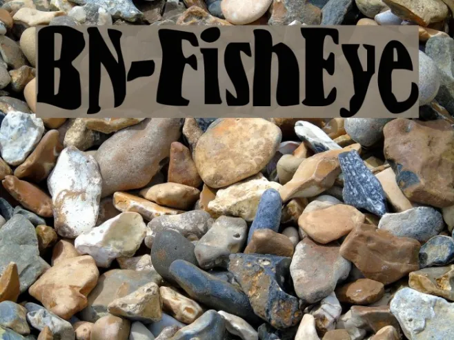 BN-FishEye Example 3