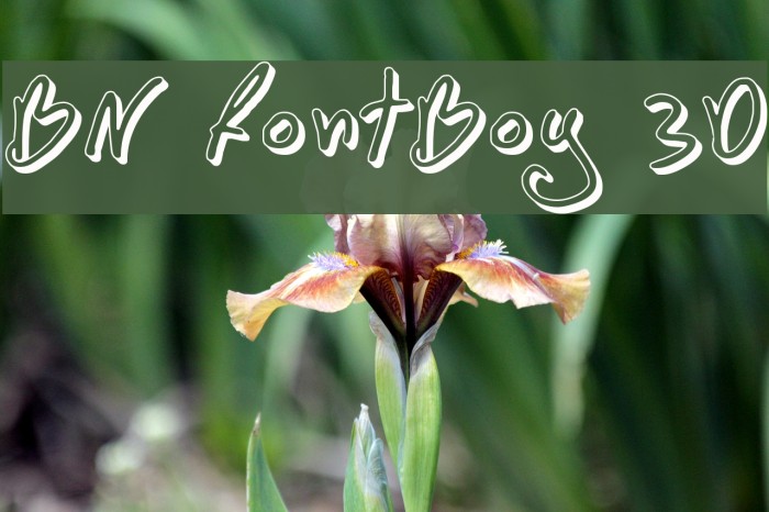 BN FontBoy 3D Font examples