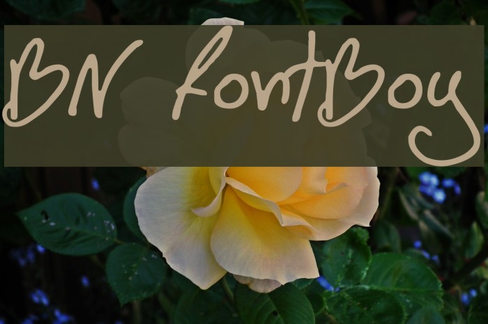 BN FontBoy Font examples