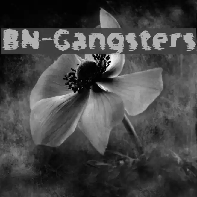 BN-Gangsters Font examples
