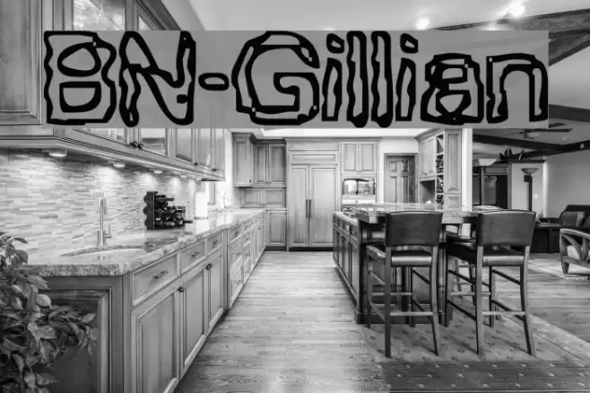 BN-Gillian Font examples