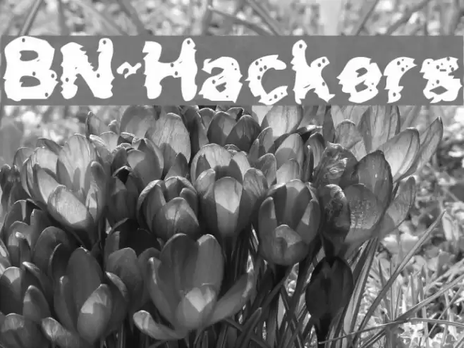 BN-Hackers Font examples