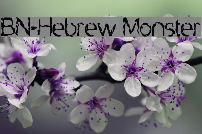 BN-Hebrew Monster Font examples