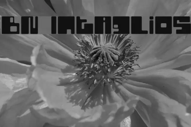 BN Intaglios Font examples