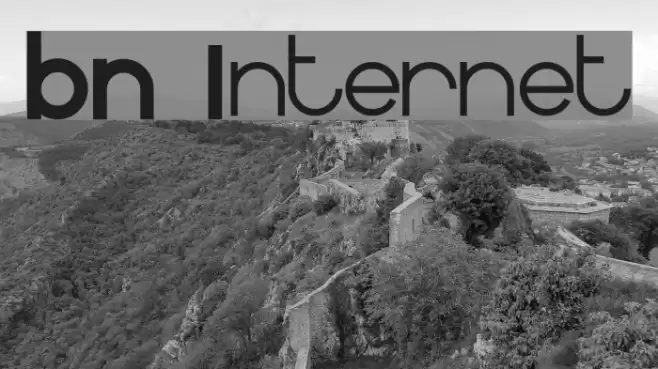 BN Internet  examples