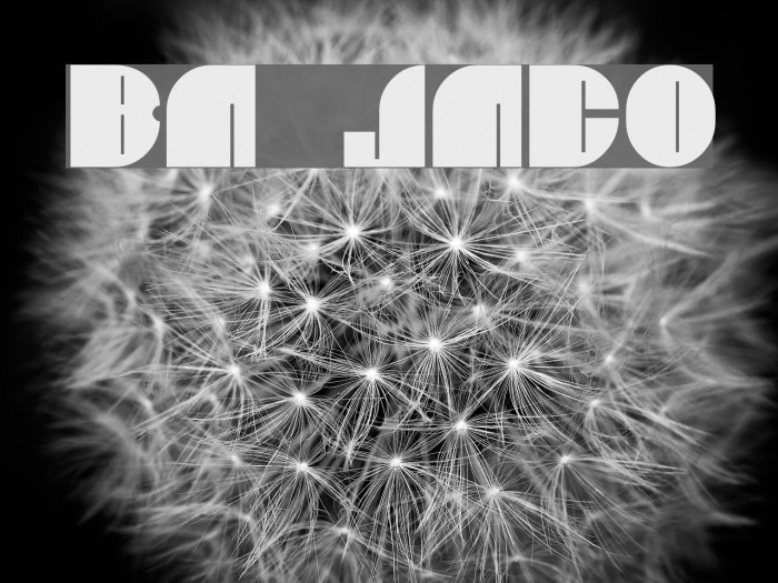 BN JNCO Font examples