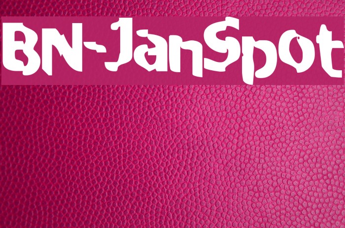 BN-JanSpot Font examples