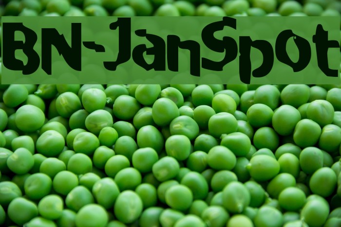 BN-JanSpot Font examples