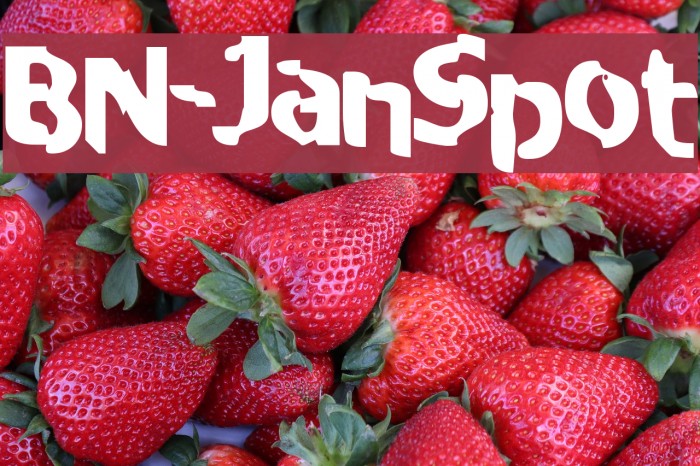 BN-JanSpot Font examples