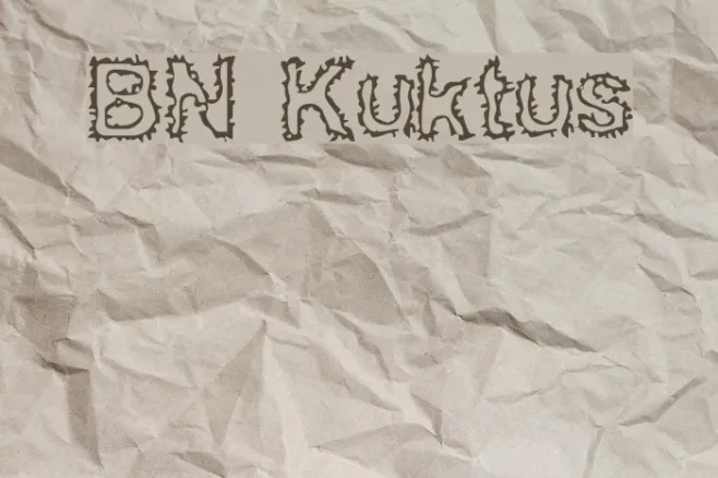 BN Kuktus Example 2