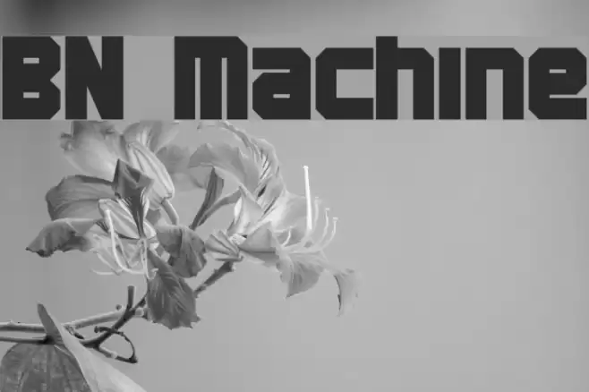 BN Machine फ़ॉन्ट examples