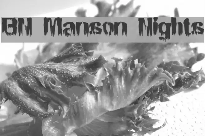 BN Manson Nights Font examples