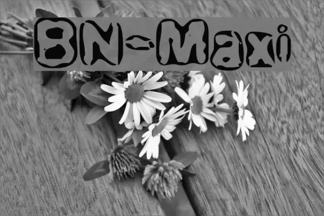 BN-Maxi Font examples