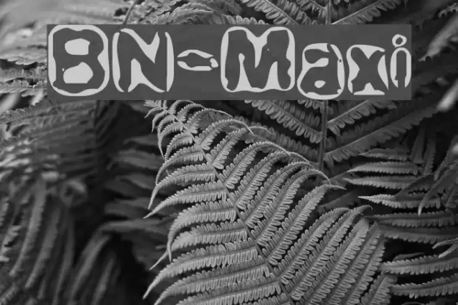 BN-Maxi Font examples