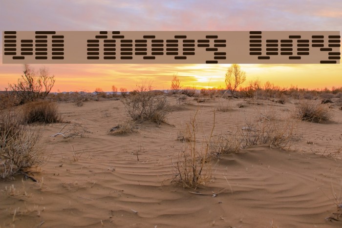 BN Moog Boy Font examples