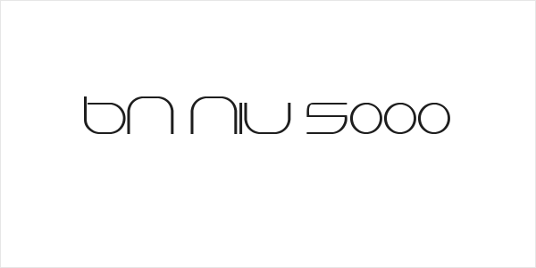 BN Niv 5000 Logo