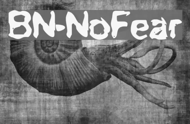 BN-NoFear Font examples