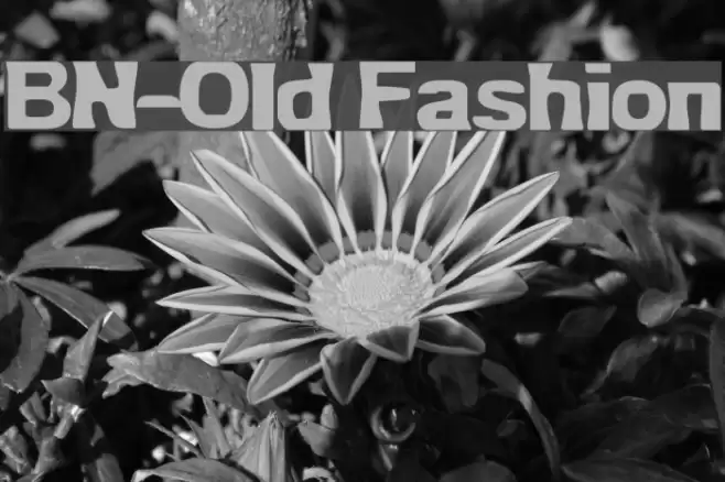 BN-Old Fashion Font examples