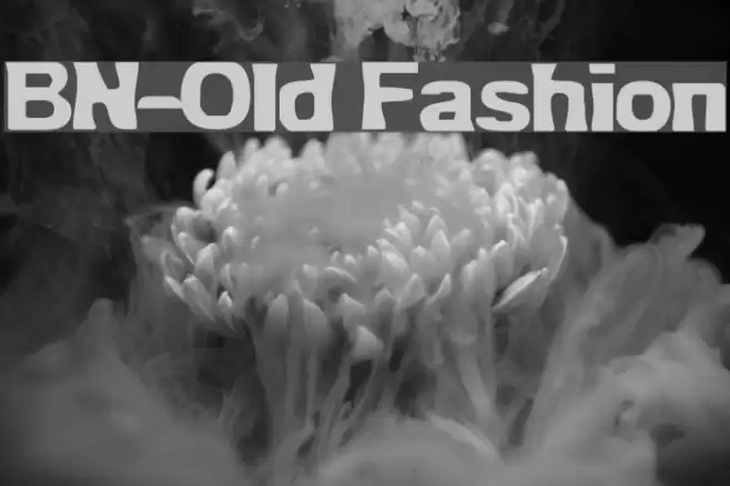 BN-Old Fashion Font examples