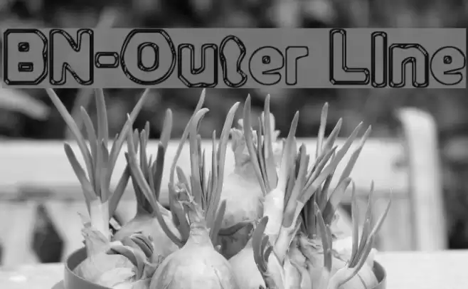 BN-Outer Line Schriftart examples