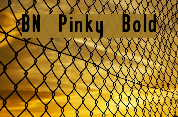 BN Pinky Bold Font examples