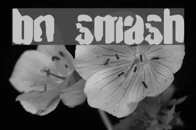 BN Smash Font examples