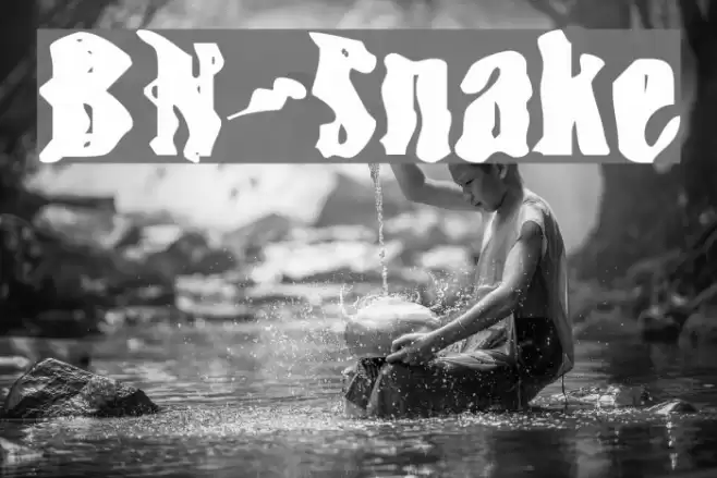 BN-Snake Шрифта examples