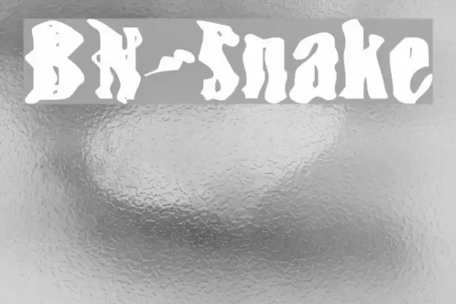 BN-Snake Шрифта examples