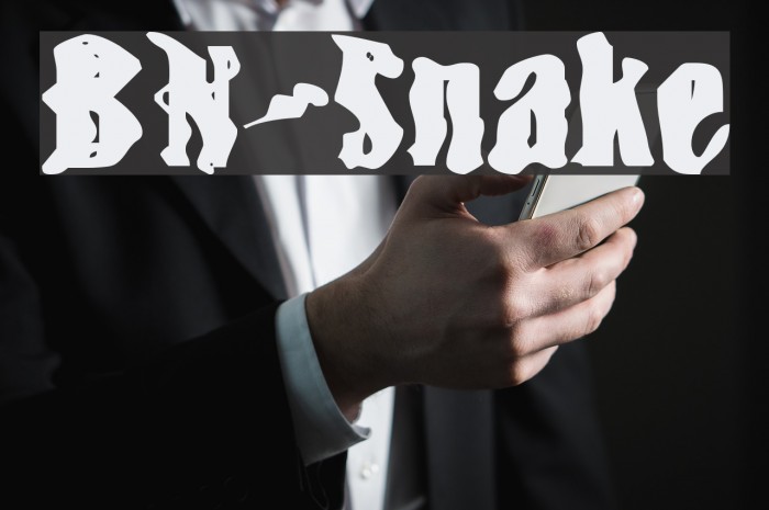 BN-Snake Font examples