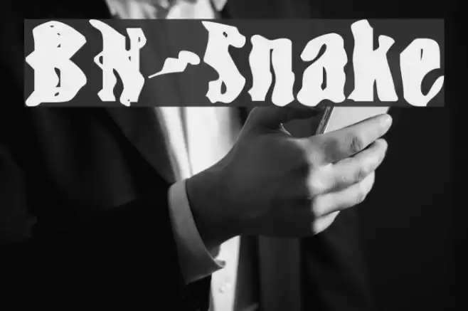 BN-Snake Шрифта examples
