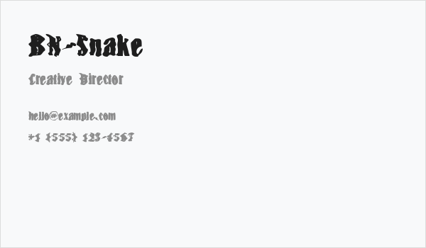 BN-Snake Business Card