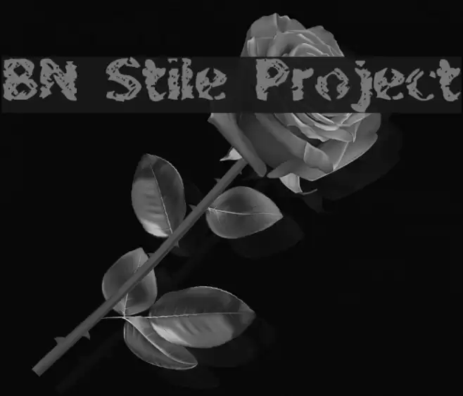 BN Stile Project Font examples
