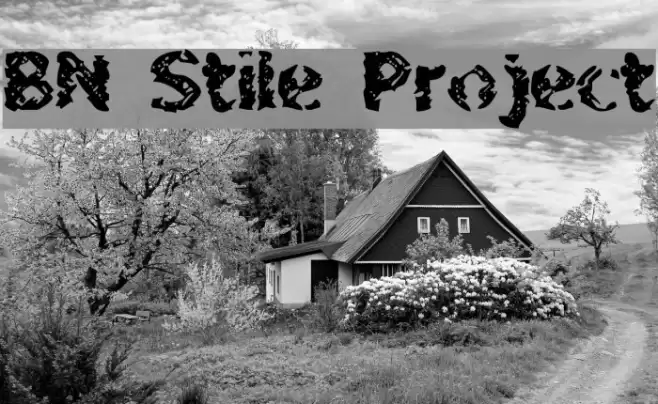 BN Stile Project Font examples