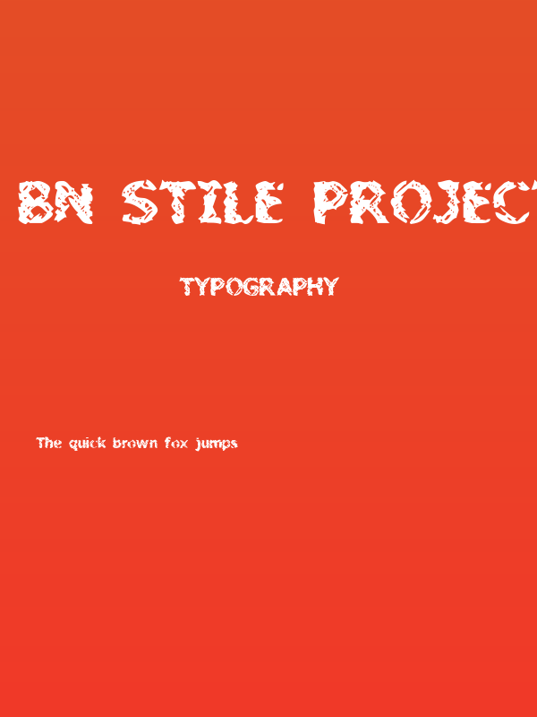 BN Stile Project Poster