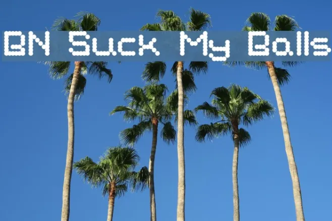BN Suck My Balls Example 1