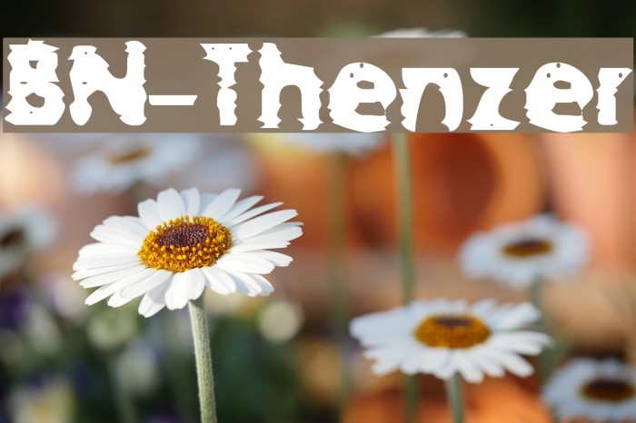 BN-Thenzer Font examples