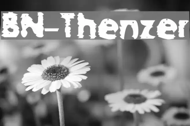 BN-Thenzer Font examples