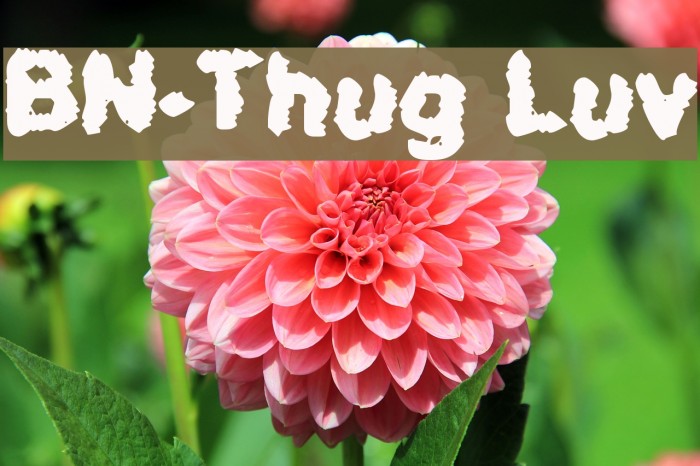 BN-Thug Luv Font examples