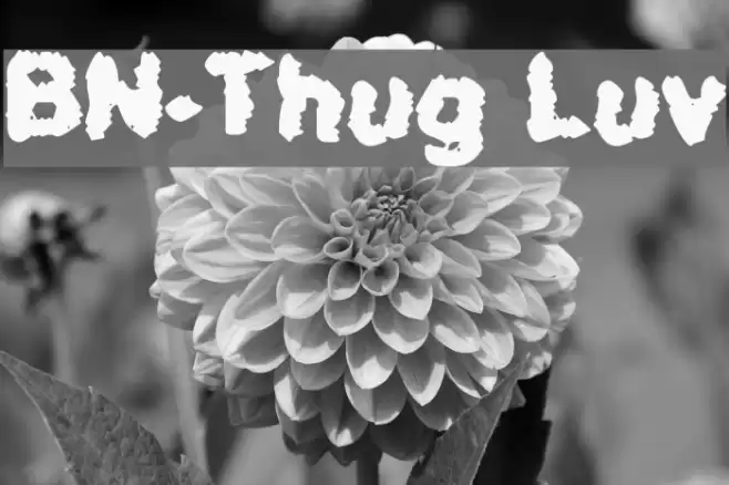 BN-Thug Luv Шрифта examples