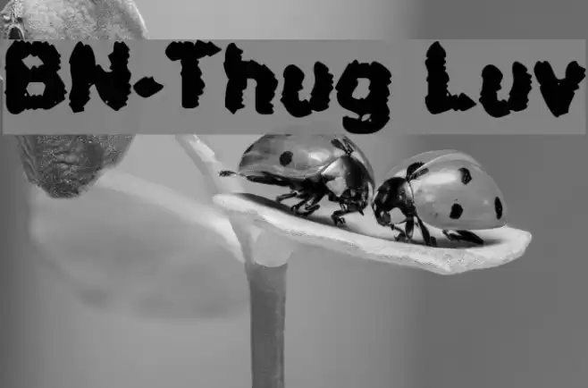 BN-Thug Luv Шрифта examples
