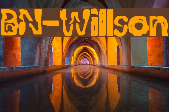 BN-Willson Font examples