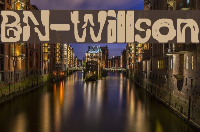 BN-Willson Font examples