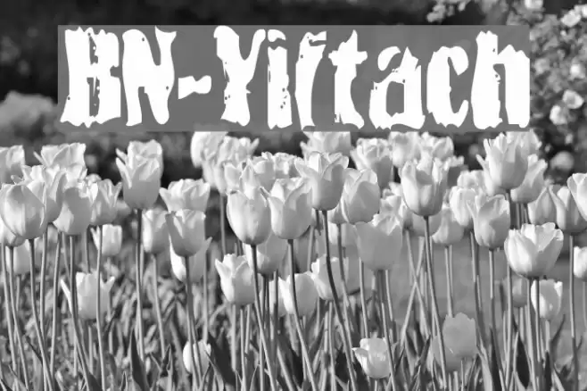 BN-Yiftach Font examples