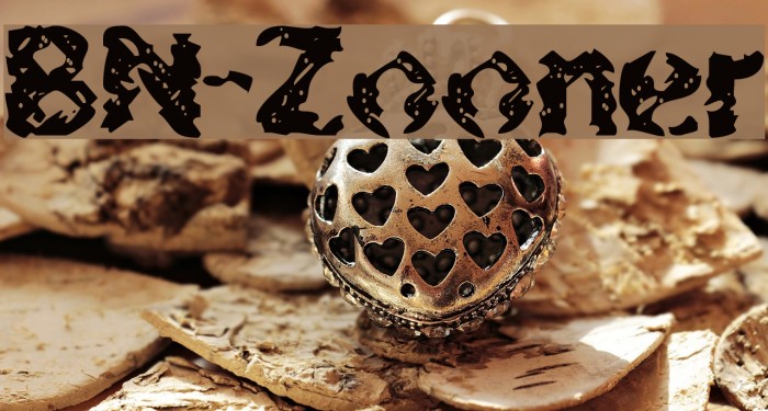 BN-Zooner Font examples