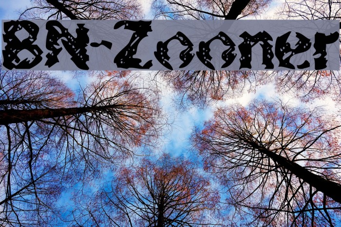 BN-Zooner Font examples