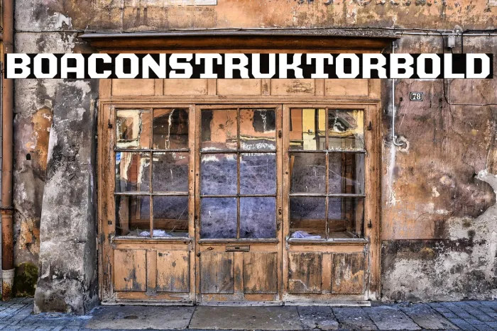 BOA CONSTRUKTOR Bold Example 1