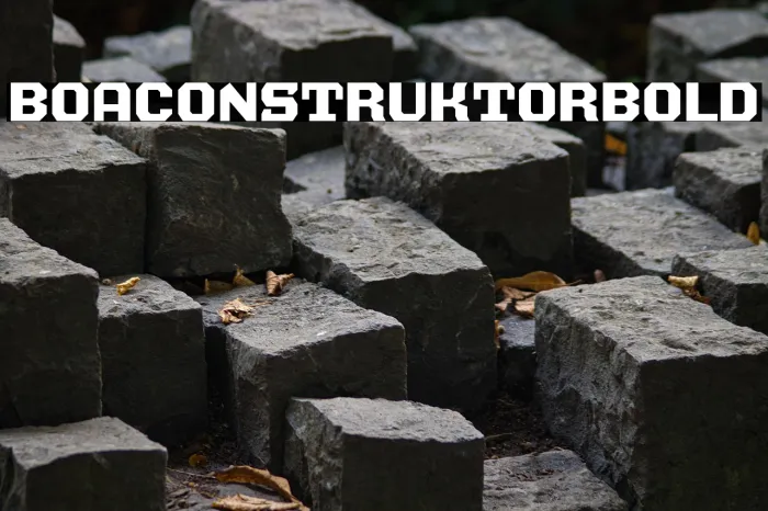 BOA CONSTRUKTOR Bold Example 2